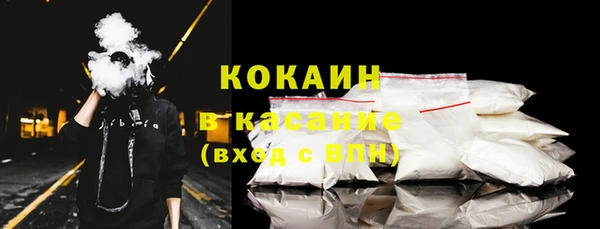 крисы Богородицк