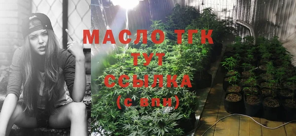 2c-b Богородск
