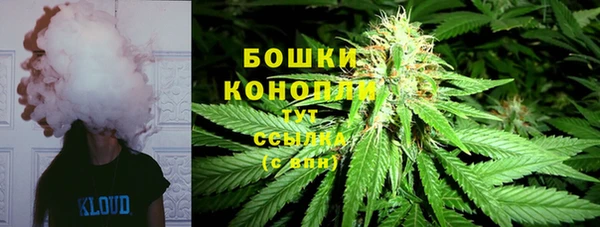 mdpv Богданович