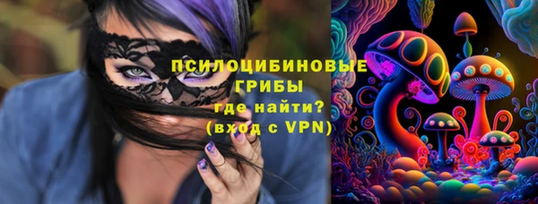 крисы Богородицк
